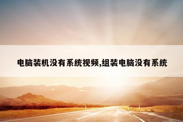 电脑装机没有系统视频,组装电脑没有系统