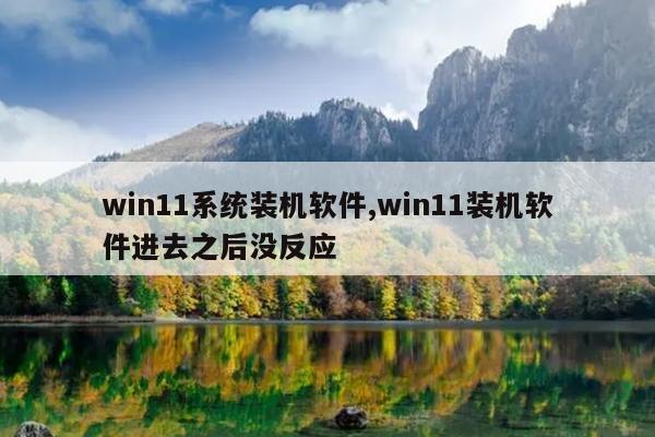 win11系统装机软件,win11装机软件进去之后没反应
