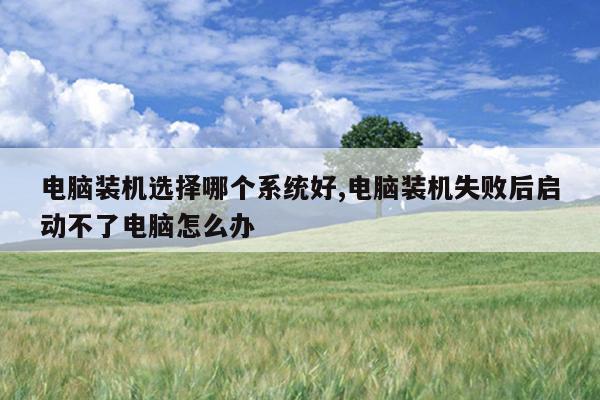 电脑装机选择哪个系统好,电脑装机失败后启动不了电脑怎么办