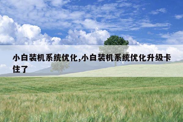 小白装机系统优化,小白装机系统优化升级卡住了
