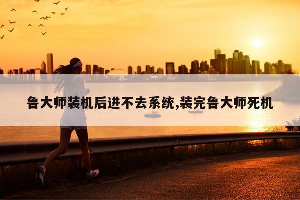 鲁大师装机后进不去系统,装完鲁大师死机