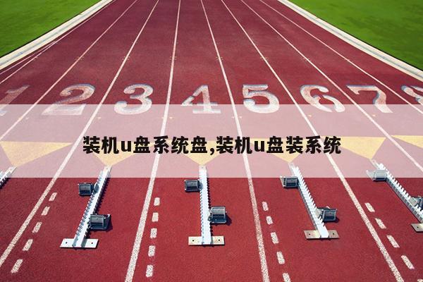 装机u盘系统盘,装机u盘装系统