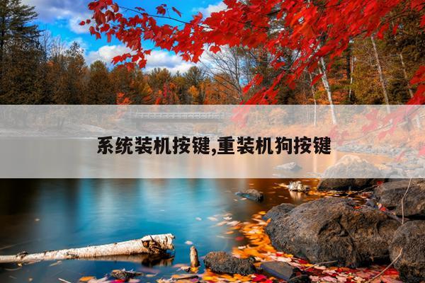 系统装机按键,重装机狗按键
