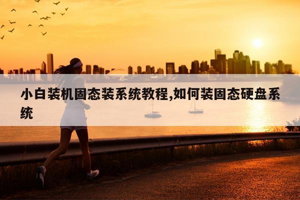 小白装机固态装系统教程,如何装固态硬盘系统