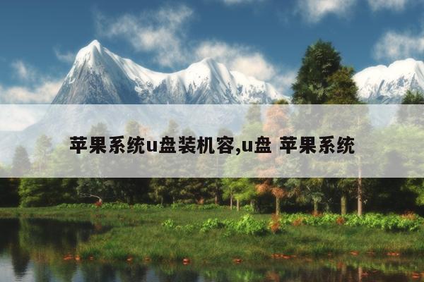 苹果系统u盘装机容,u盘 苹果系统