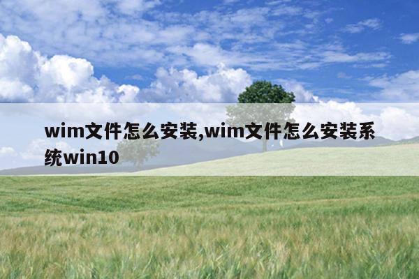 wim文件怎么安装,wim文件怎么安装系统win10