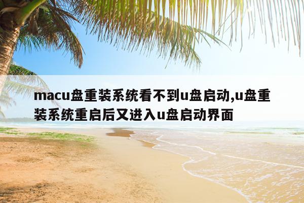 macu盘重装系统看不到u盘启动,u盘重装系统重启后又进入u盘启动界面