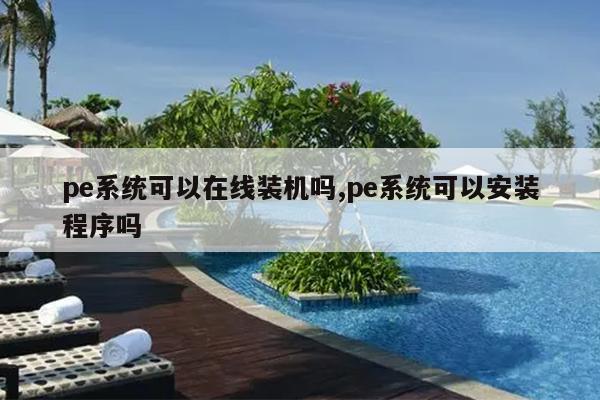 pe系统可以在线装机吗,pe系统可以安装程序吗
