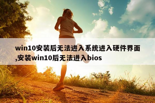 win10安装后无法进入系统进入硬件界面,安装win10后无法进入bios