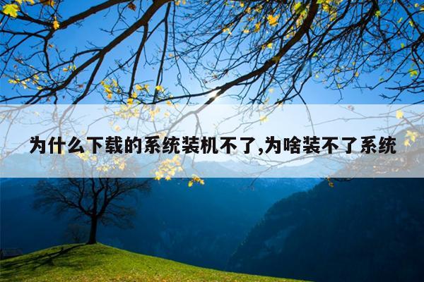 为什么下载的系统装机不了,为啥装不了系统