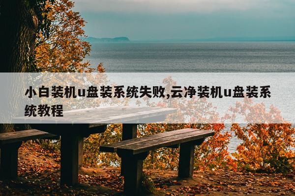小白装机u盘装系统失败,云净装机u盘装系统教程