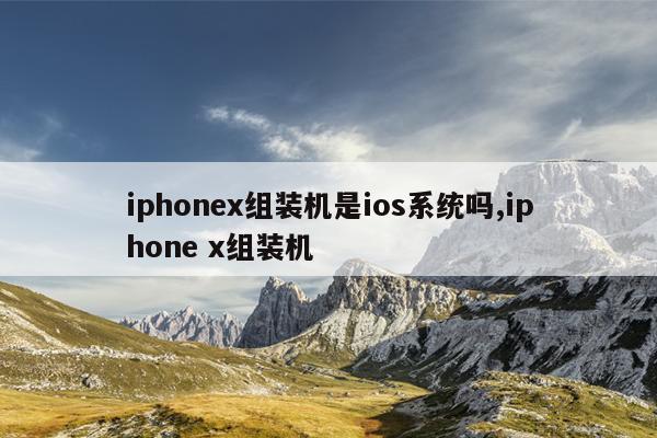 iphonex组装机是ios系统吗,iphone x组装机