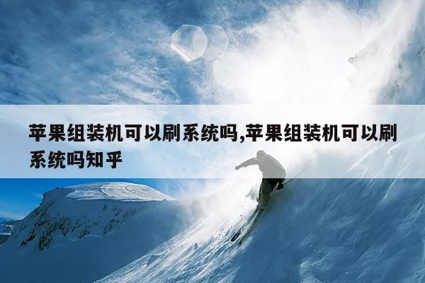 苹果组装机可以刷系统吗,苹果组装机可以刷系统吗知乎