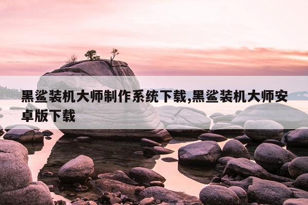 黑鲨装机大师制作系统下载,黑鲨装机大师安卓版下载