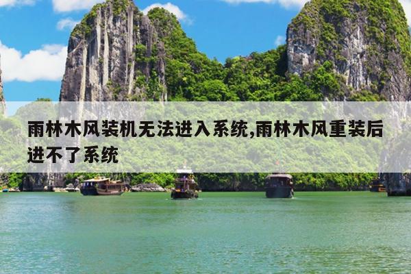 雨林木风装机无法进入系统,雨林木风重装后进不了系统