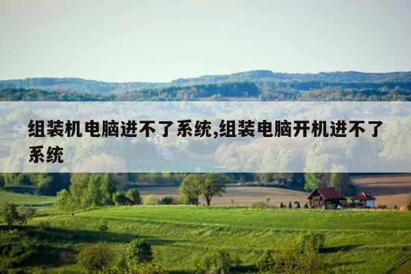 组装机电脑进不了系统,组装电脑开机进不了系统