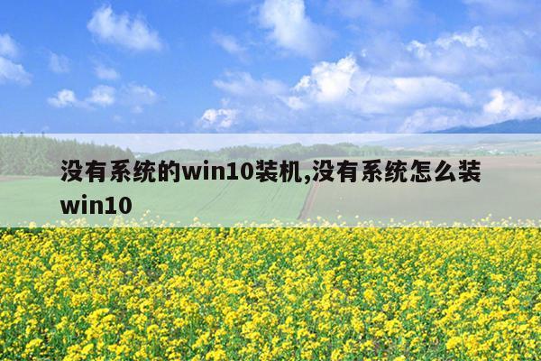 没有系统的win10装机,没有系统怎么装win10