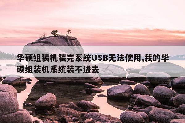 华硕组装机装完系统USB无法使用,我的华硕组装机系统装不进去