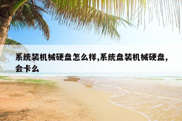 系统装机械硬盘怎么样,系统盘装机械硬盘,会卡么