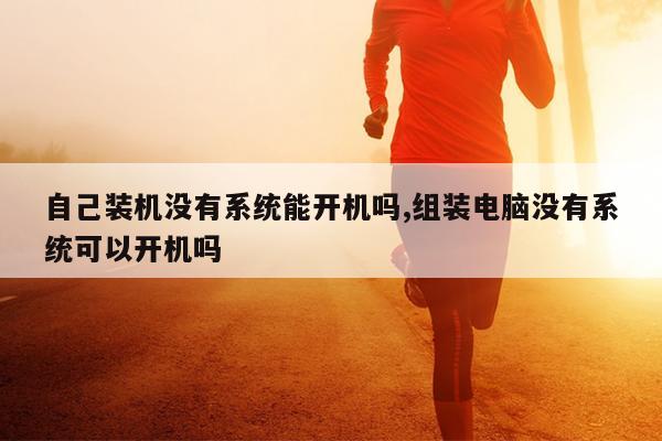 自己装机没有系统能开机吗,组装电脑没有系统可以开机吗