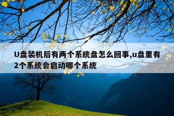 U盘装机后有两个系统盘怎么回事,u盘里有2个系统会启动哪个系统