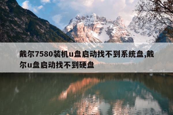 戴尔7580装机u盘启动找不到系统盘,戴尔u盘启动找不到硬盘