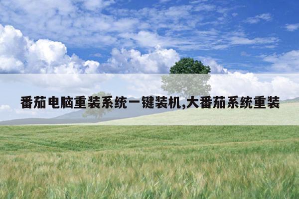 番茄电脑重装系统一键装机,大番茄系统重装