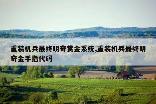 重装机兵最终明奇赏金系统,重装机兵最终明奇金手指代码