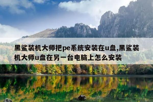 黑鲨装机大师把pe系统安装在u盘,黑鲨装机大师u盘在另一台电脑上怎么安装